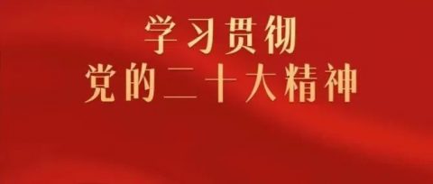 用新的伟大奋斗创造新的伟业——论学习贯彻党的二十大精神