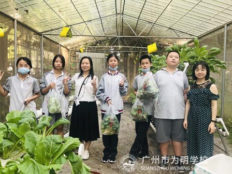 兼容至真，各美其美  初中部校本特色课程介绍之科技类