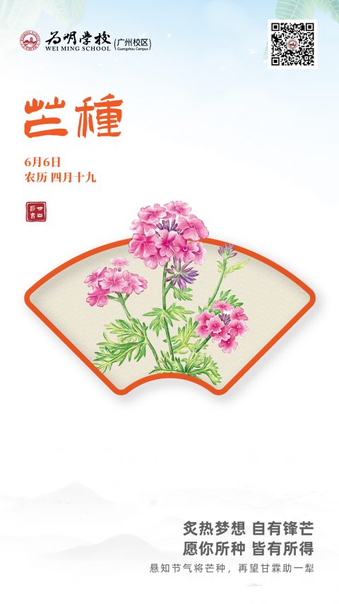 芒种 | 愿你所种  皆有所得